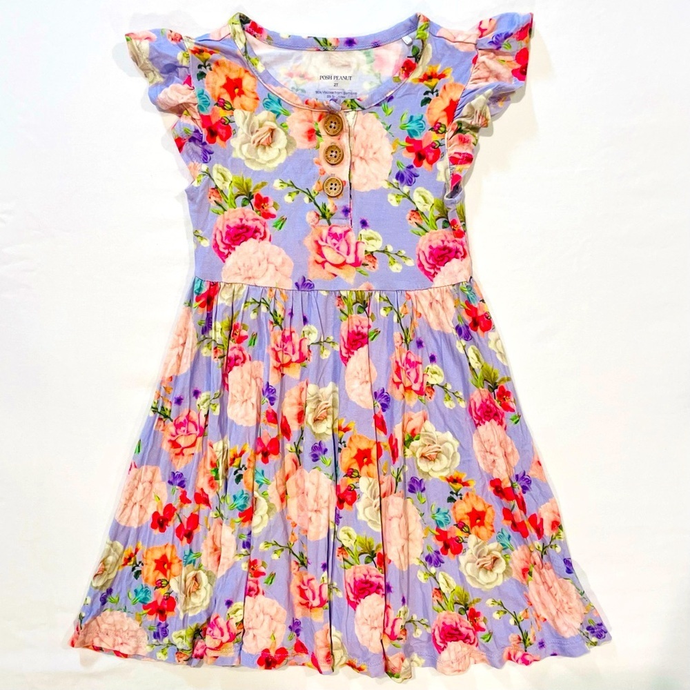 Posh Peanut Twirl Dress Girls 2T Bellamy Bamboo Floral Ruffled Cap Sleeve Henley